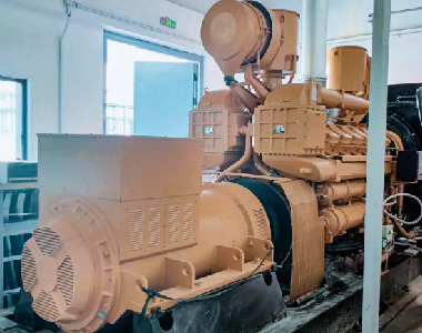 廣東石化項目（600kw1000轉6極發(fā)電機）