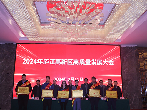 【喜報】德科電氣榮獲2023年廬江高新區(qū)企業(yè)高質量發(fā)展一等獎！